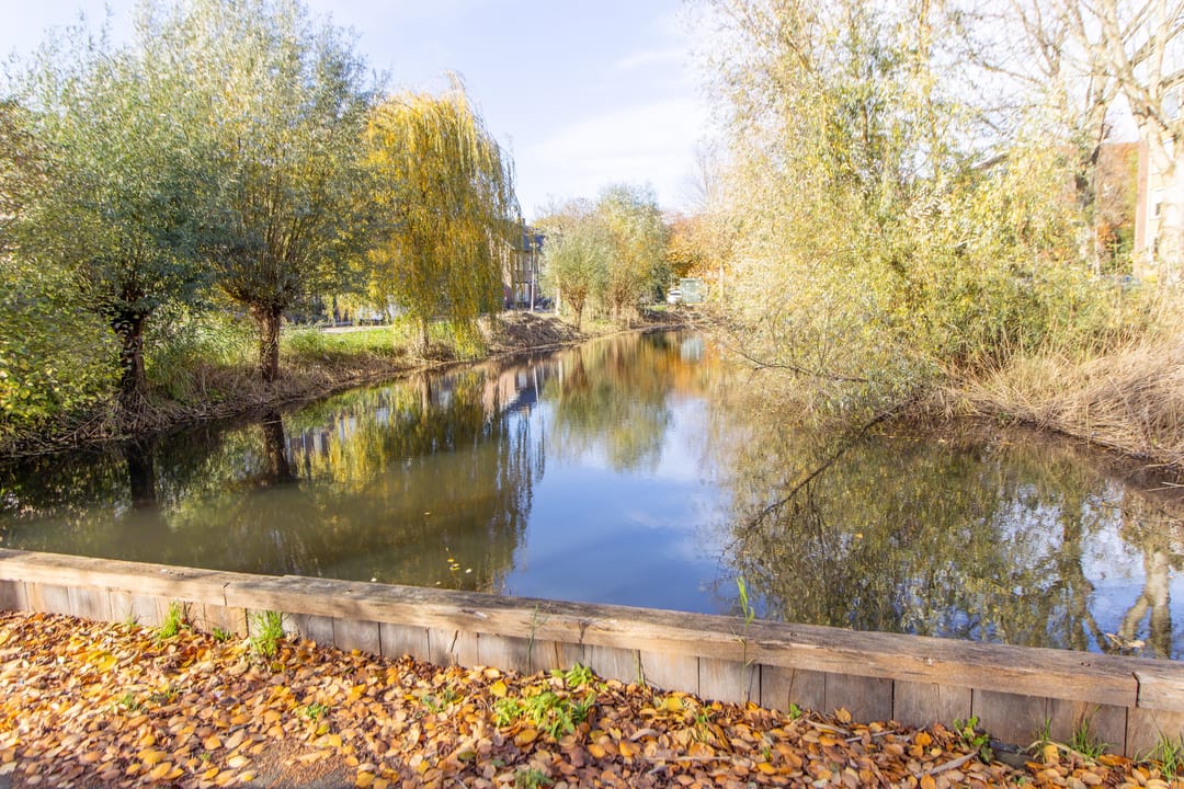 Foto 37 van Jan Campertplein 13