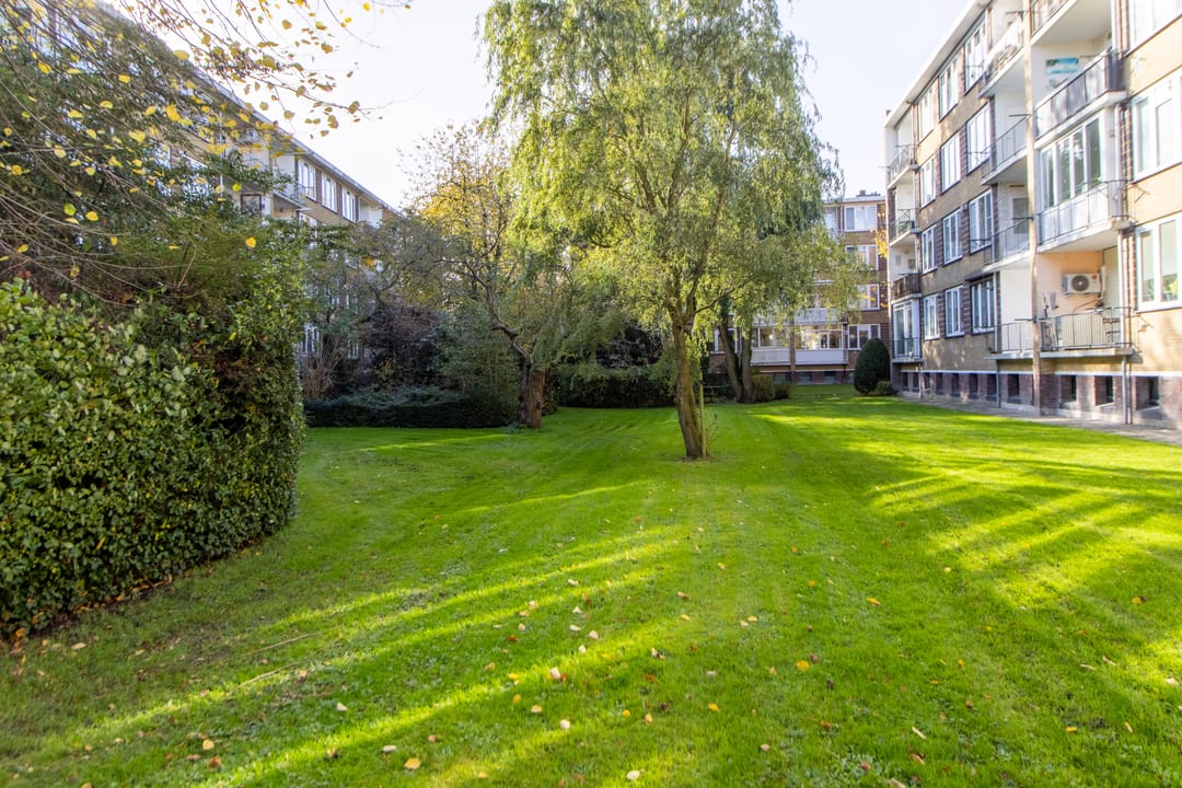 Foto 38 van Jan Campertplein 13