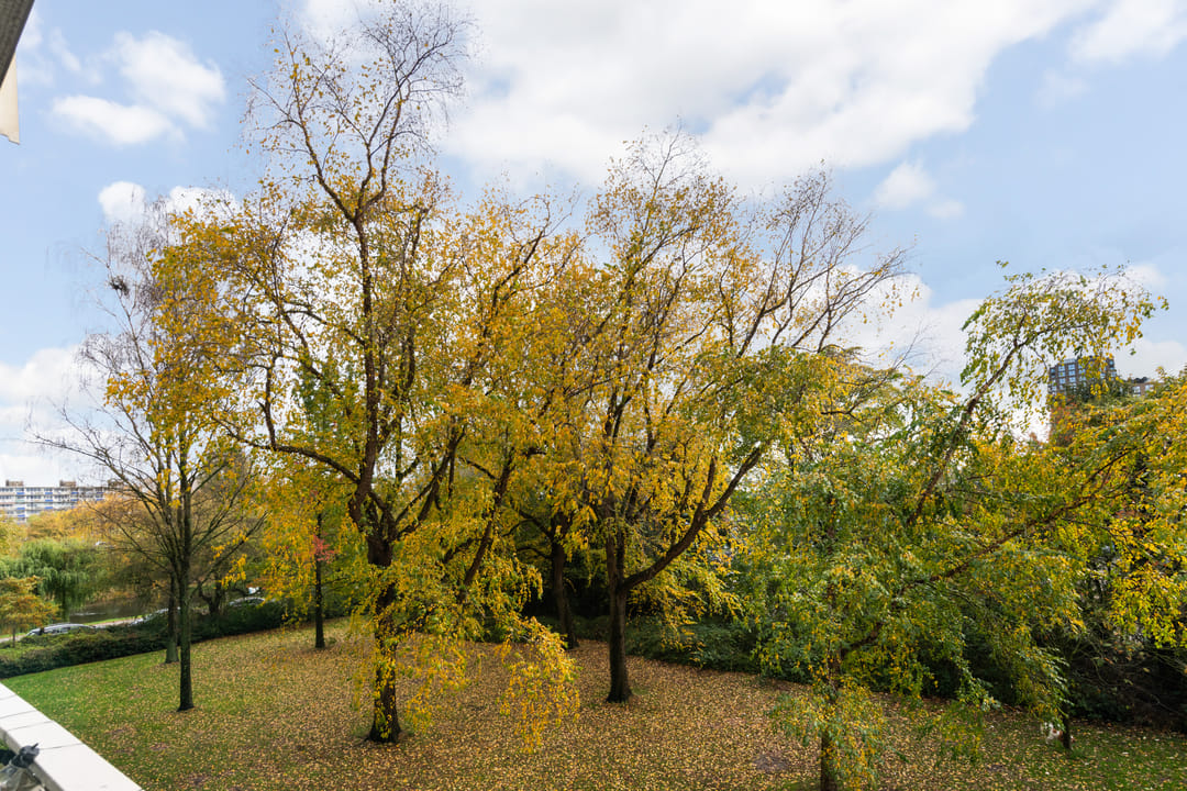 Photo 11 of Zangvogelweg 76