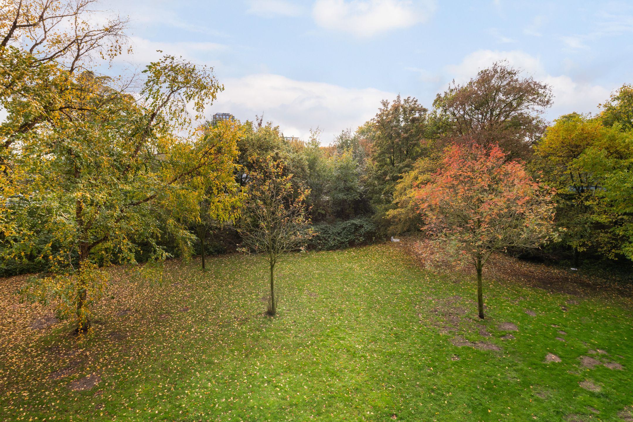 Photo 12 of Zangvogelweg 76