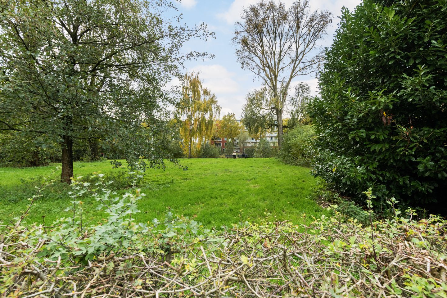 Photo 25 of Zangvogelweg 76