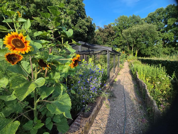 Foto 42 van Dorpsstraat 1-A