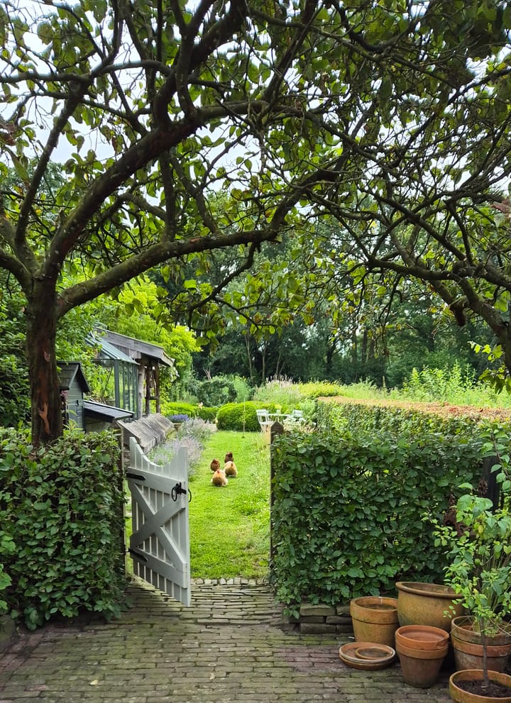 Foto 45 van Dorpsstraat 1-A