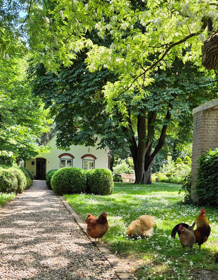 Foto 46 van Dorpsstraat 1-A