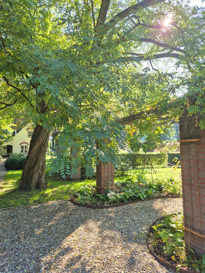 Foto 48 van Dorpsstraat 1-A