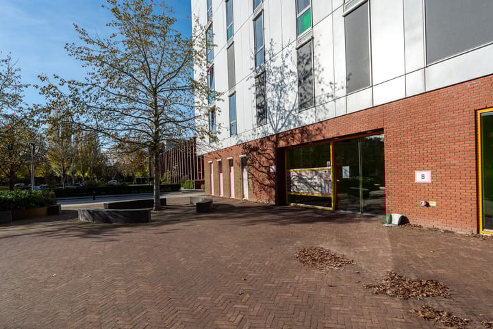 Foto 33 van Kraanvogelstraat 112