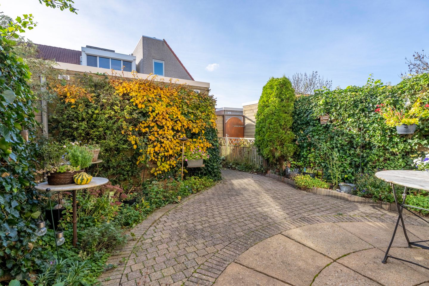 Foto 25 van Kamperfoelie 4