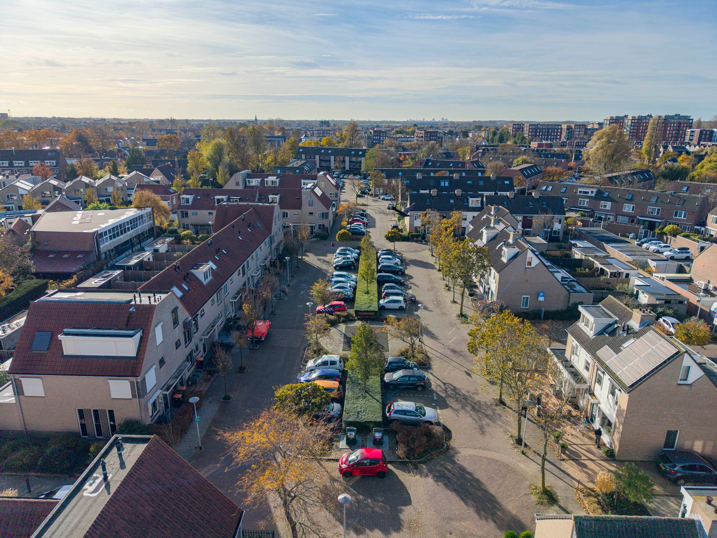 Foto 35 van Kamperfoelie 4