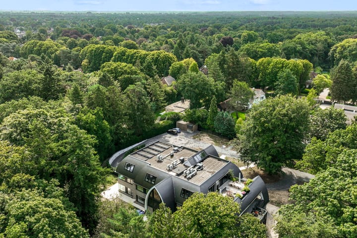 Photo 30 of Hoefloo 20-D