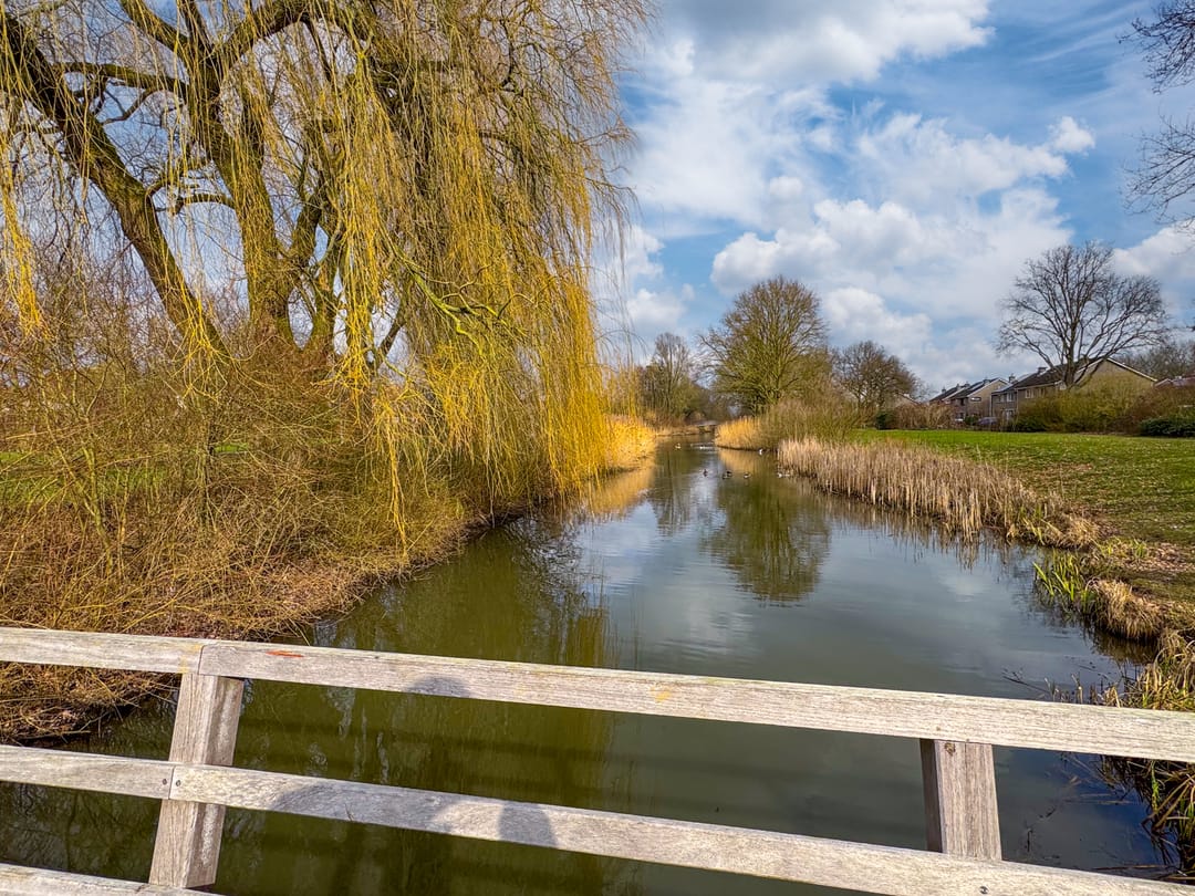 Foto 56 van 't Bieltje 16