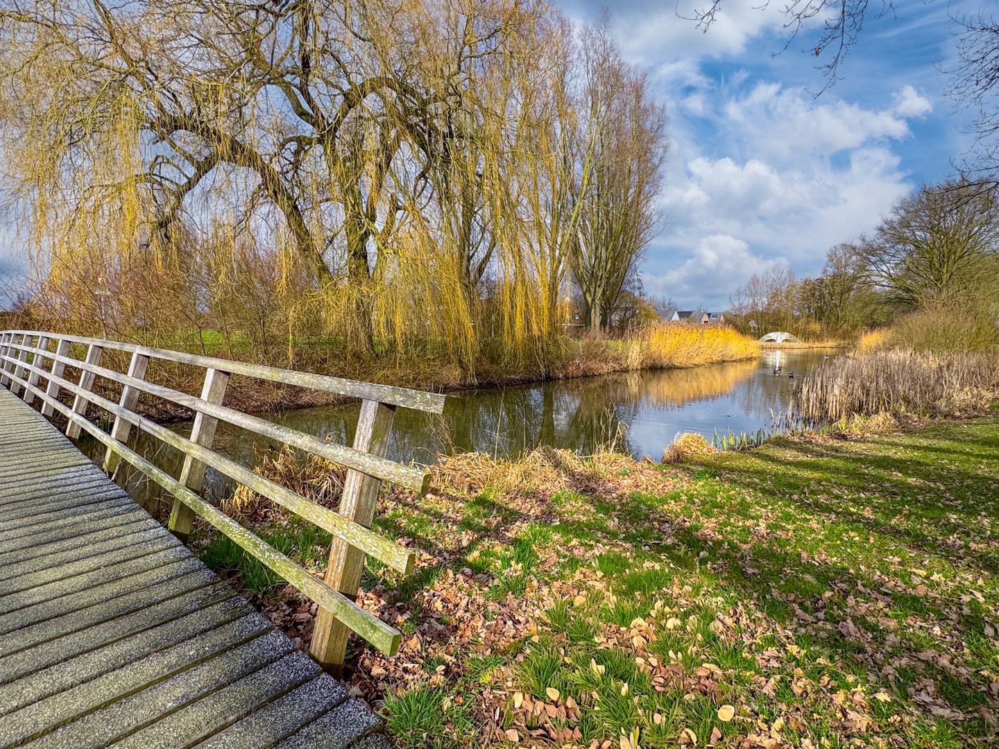 Foto 55 van 't Bieltje 16