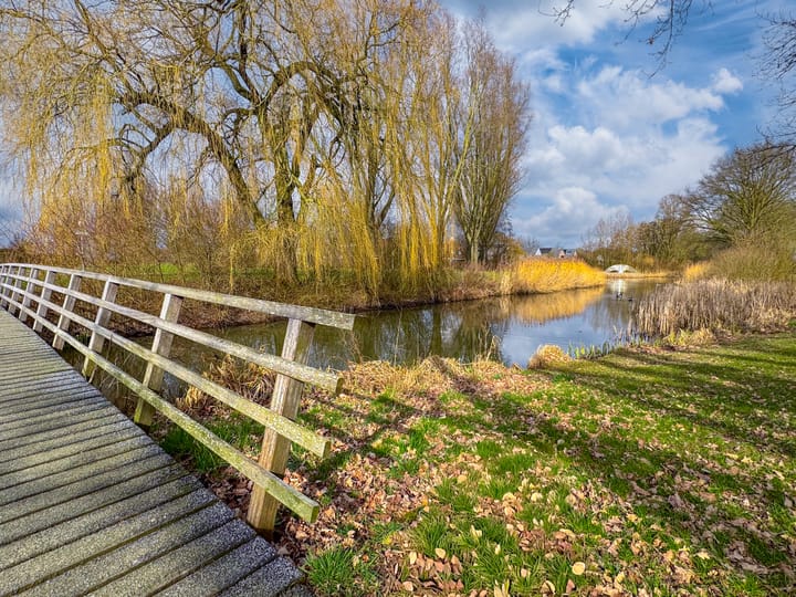 Foto 55 van 't Bieltje 16