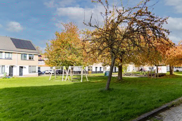 Foto 10 van Robert Stolzhof 289