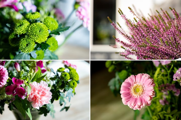 Foto 57 van Robert Stolzhof 289