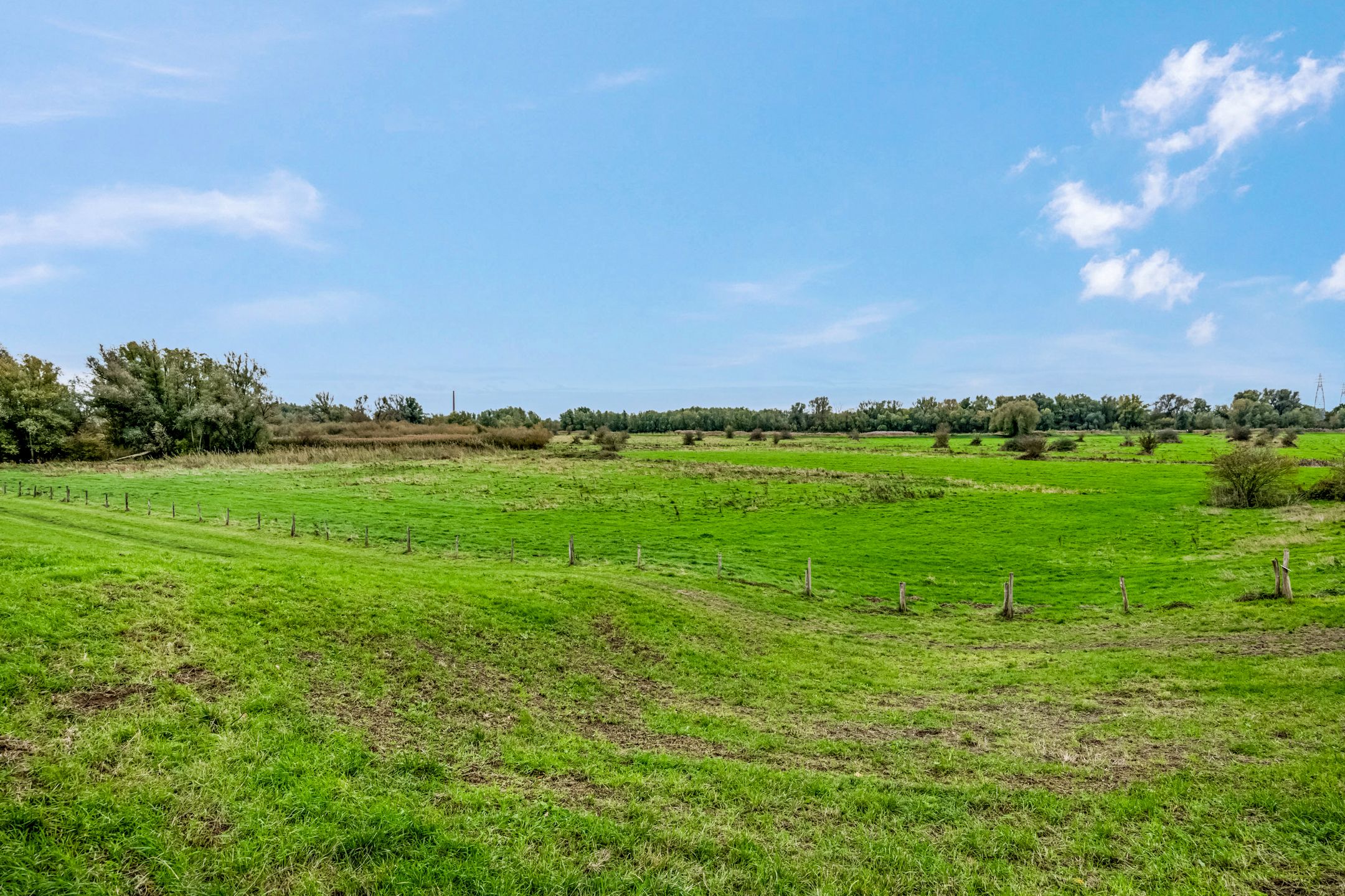 Foto 36 van Niemeijerstraat 22-III