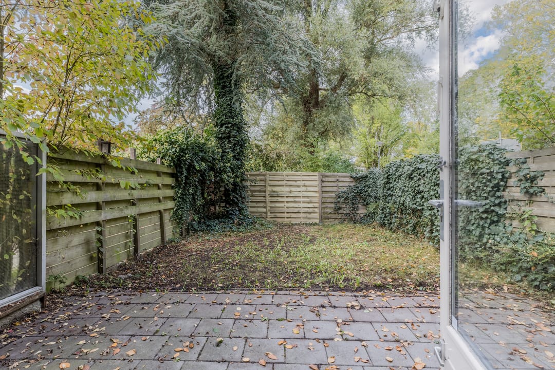 Photo 13 of Boogschutter 178