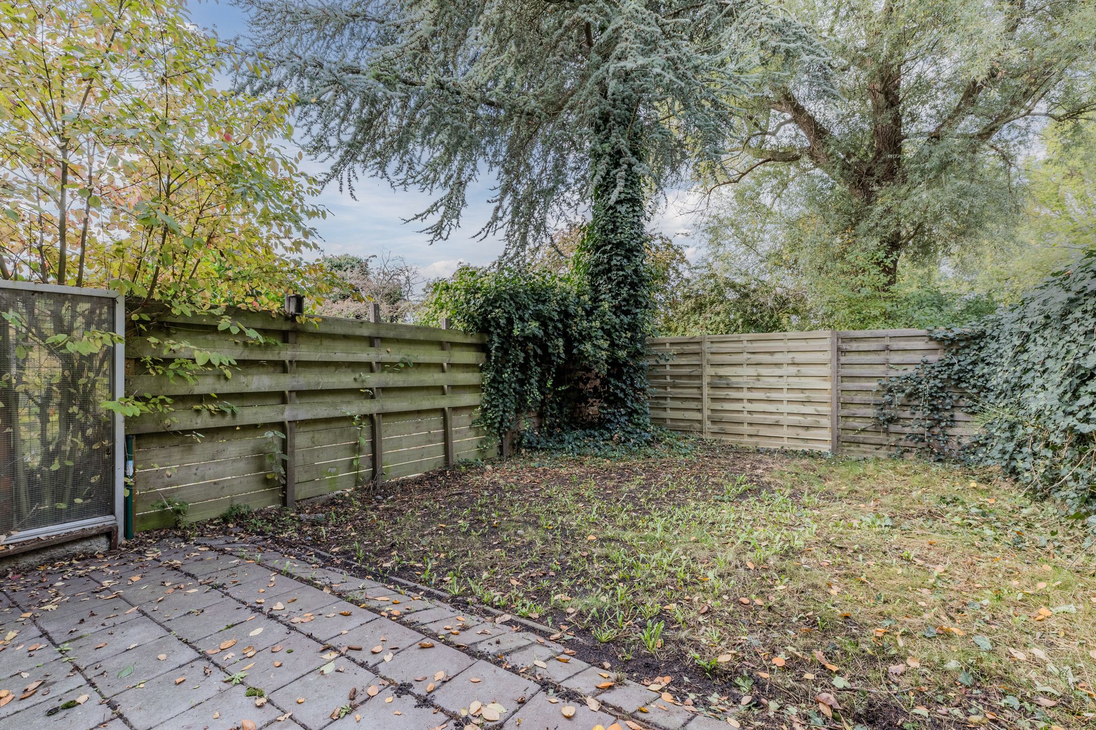 Photo 15 of Boogschutter 178