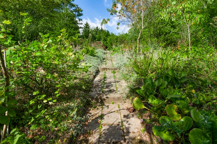 Foto 25 van Heisterbrug 6