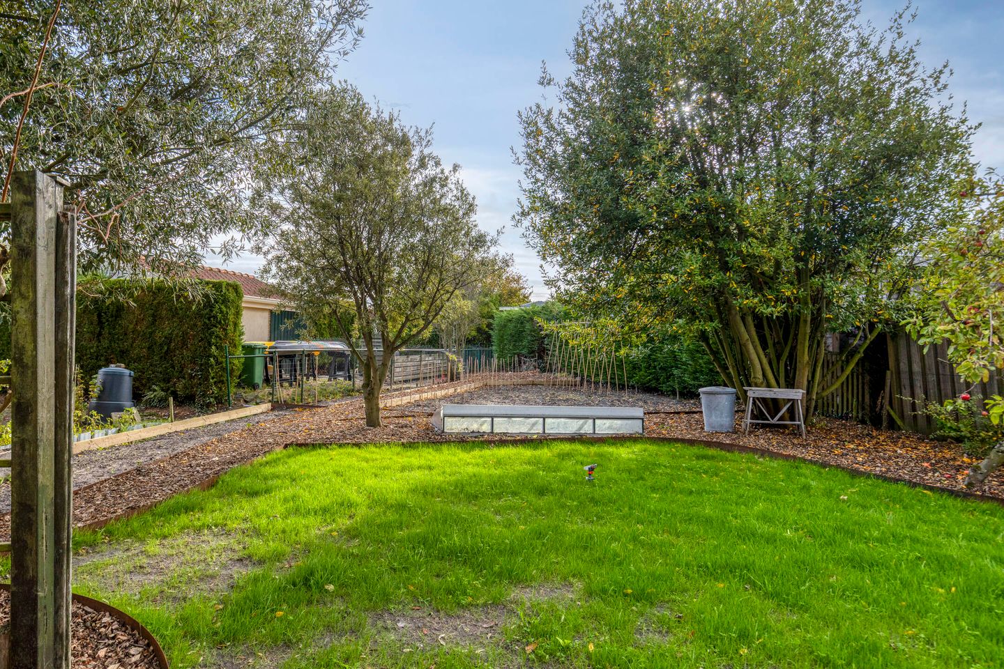 Foto 40 van Saartje Arnoldistraat 8