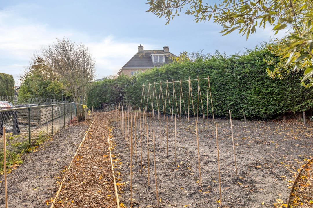 Foto 41 van Saartje Arnoldistraat 8