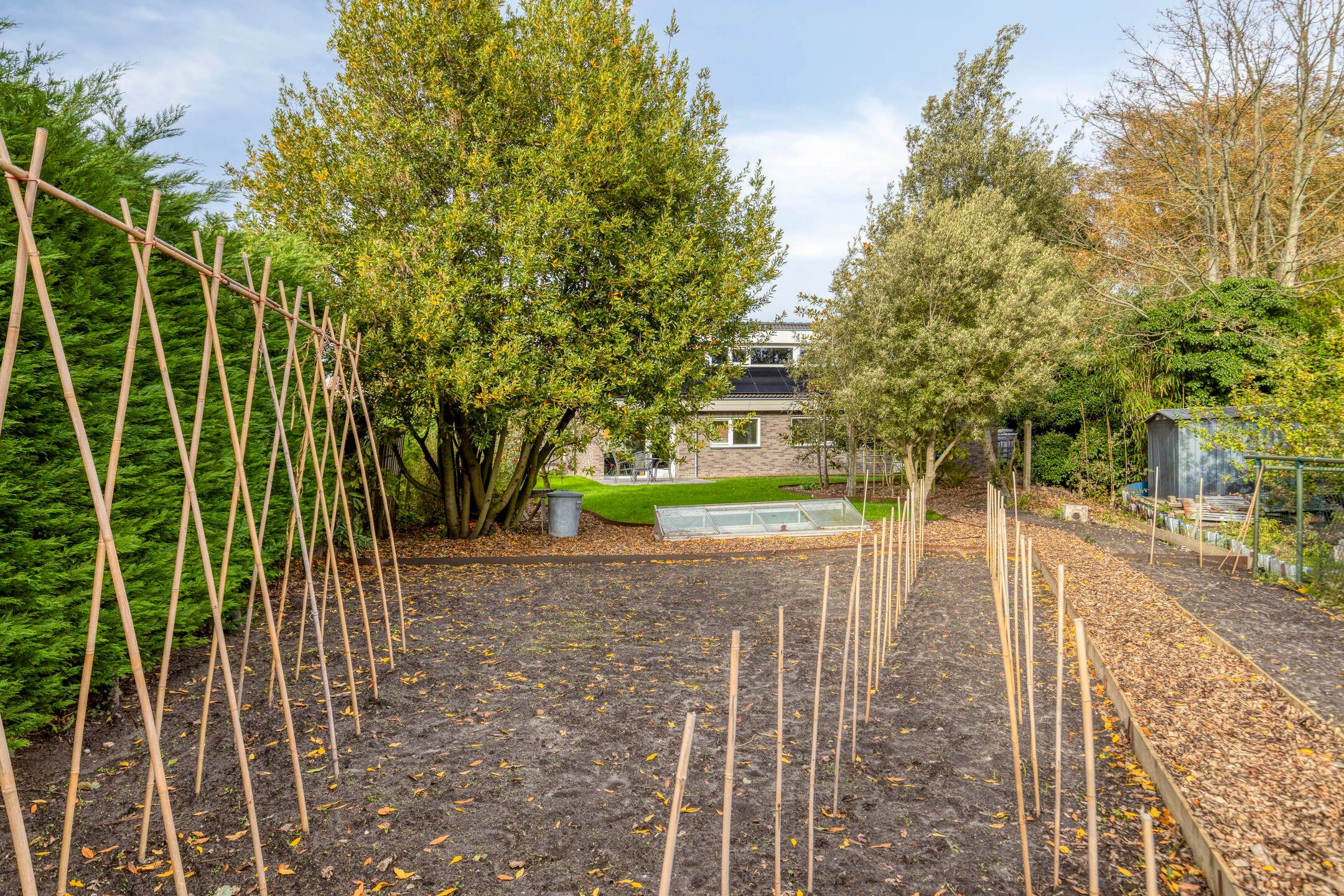 Foto 42 van Saartje Arnoldistraat 8