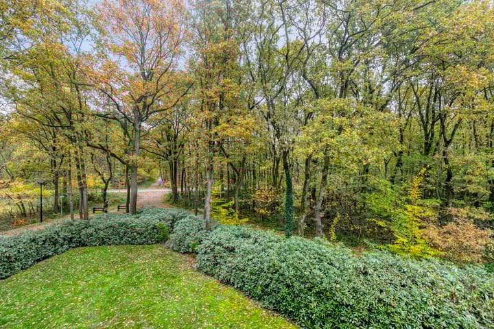 Foto 59 van Valkstraat 12