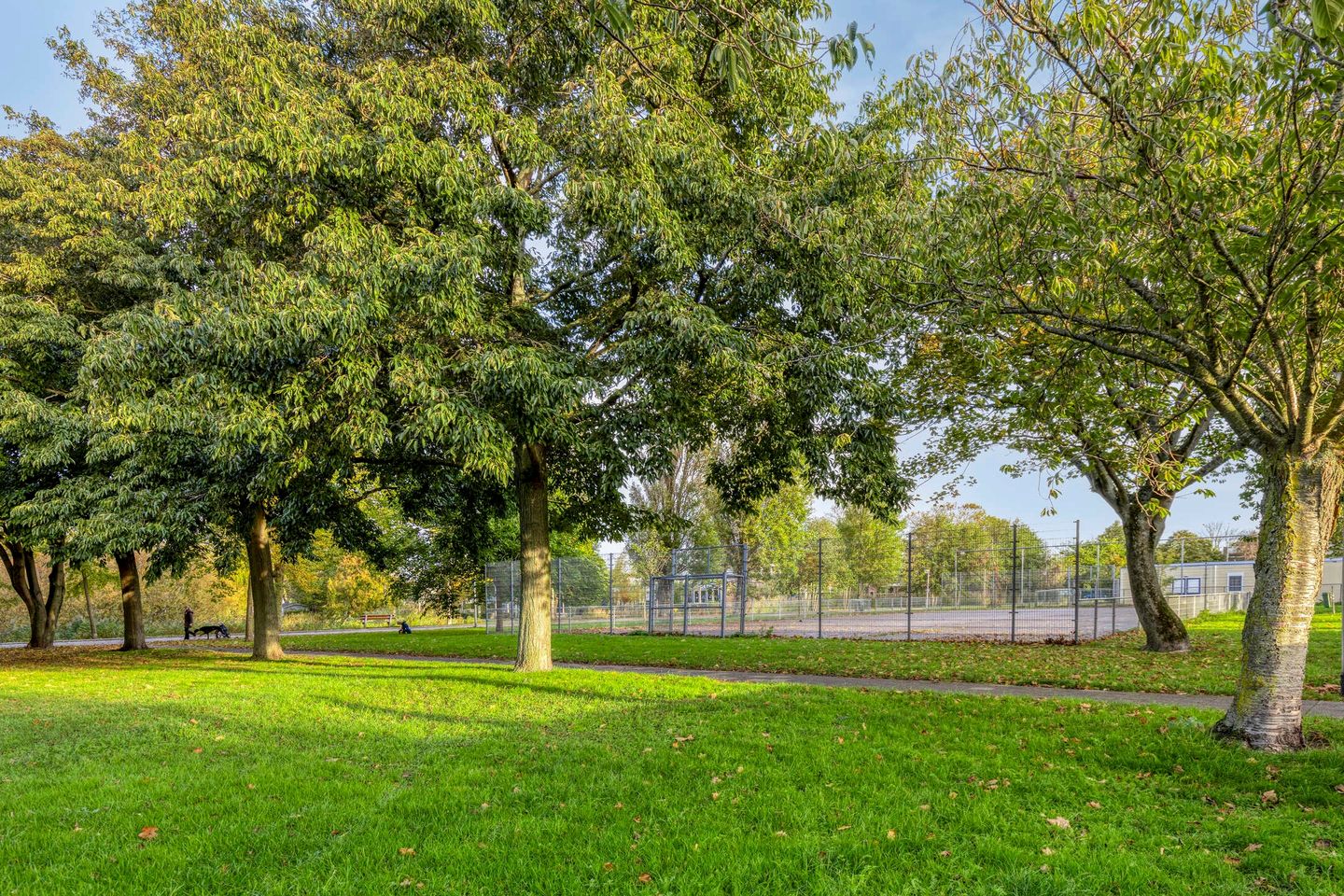 Foto 25 van Salviahof 34