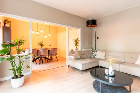 Veldkamp 52 tertiary image