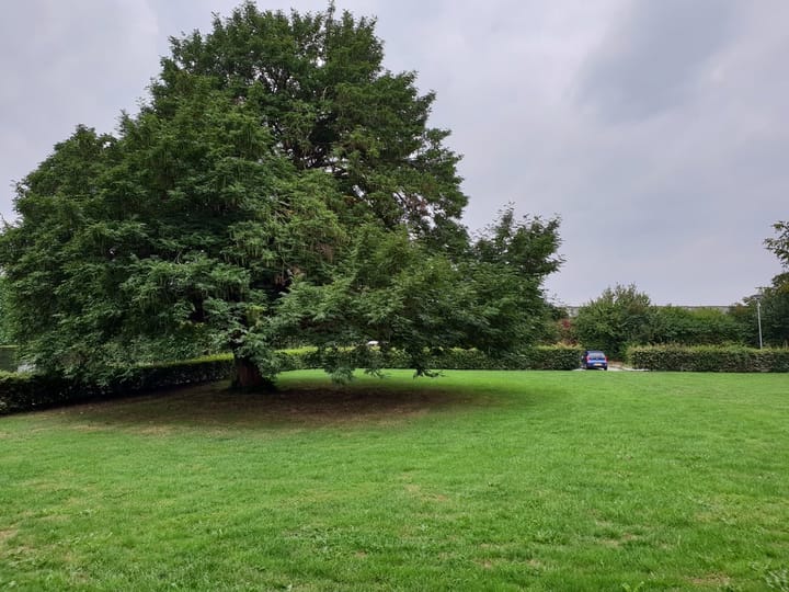 Photo 12 of Margrietstraat 113