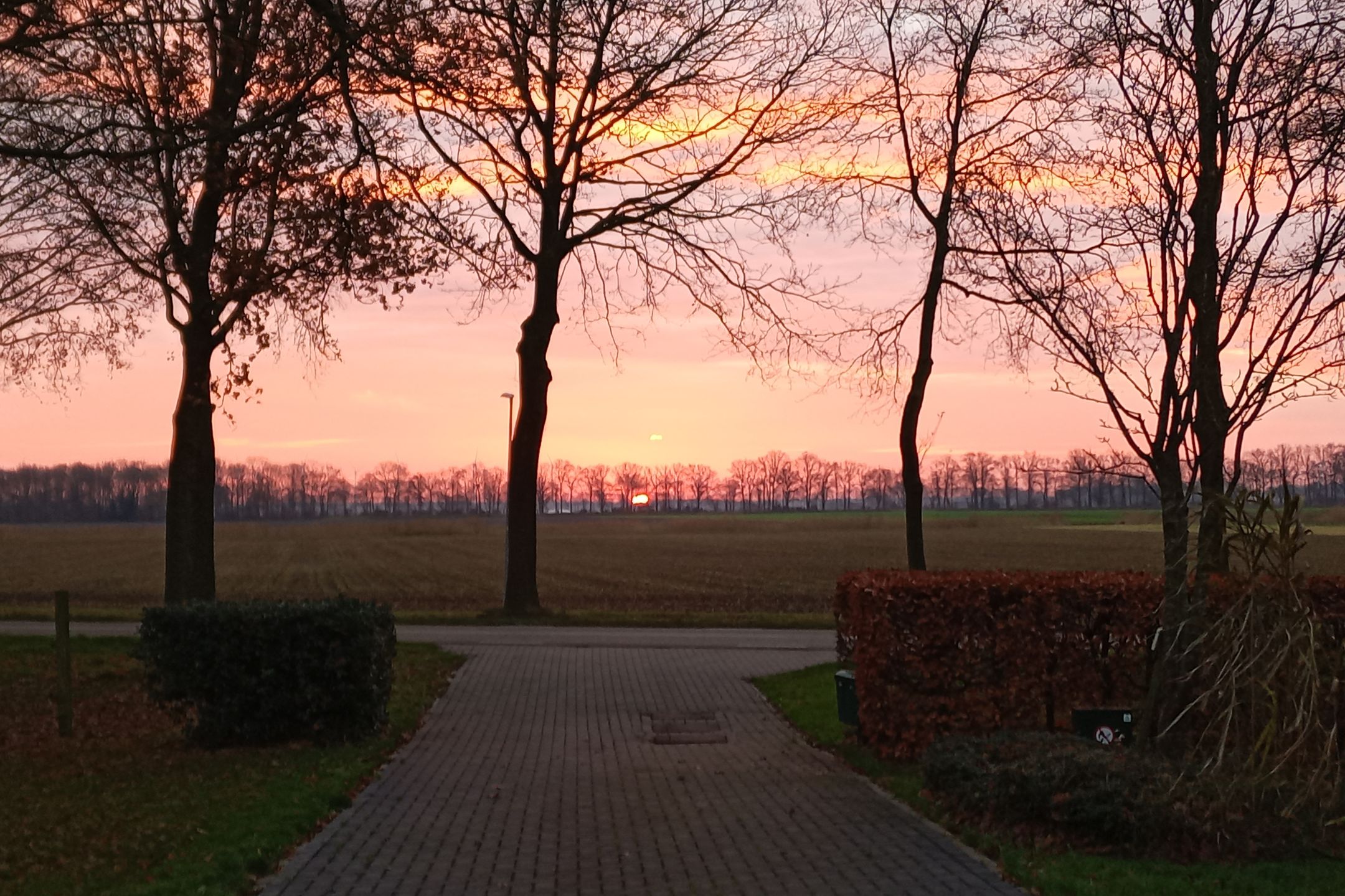 Foto 54 van Ter Apelerstraat 30-A