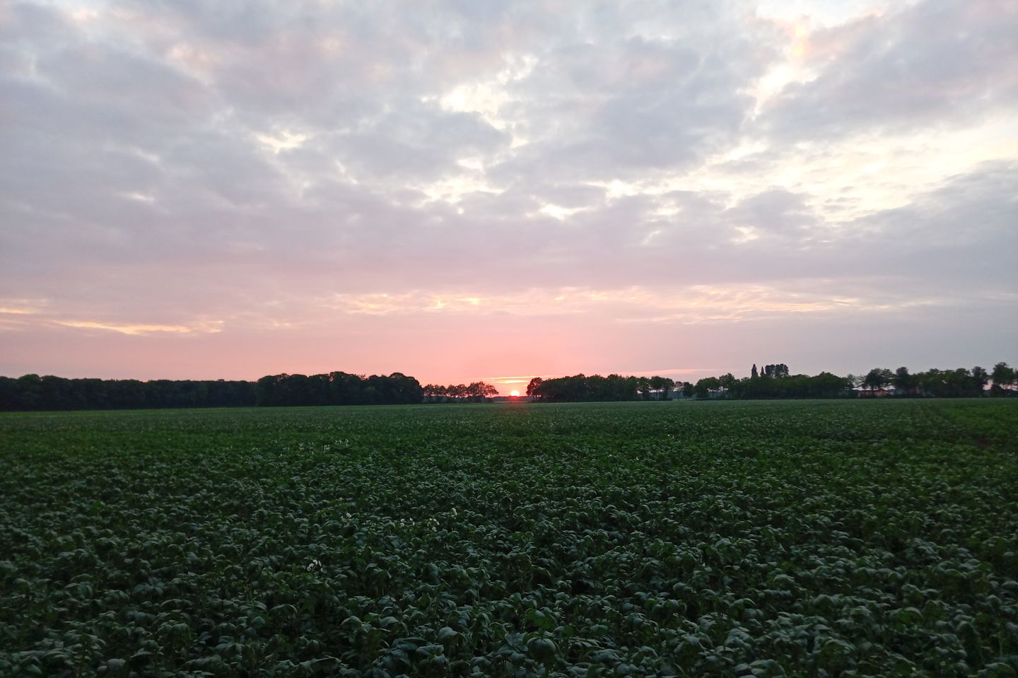 Foto 55 van Ter Apelerstraat 30-A