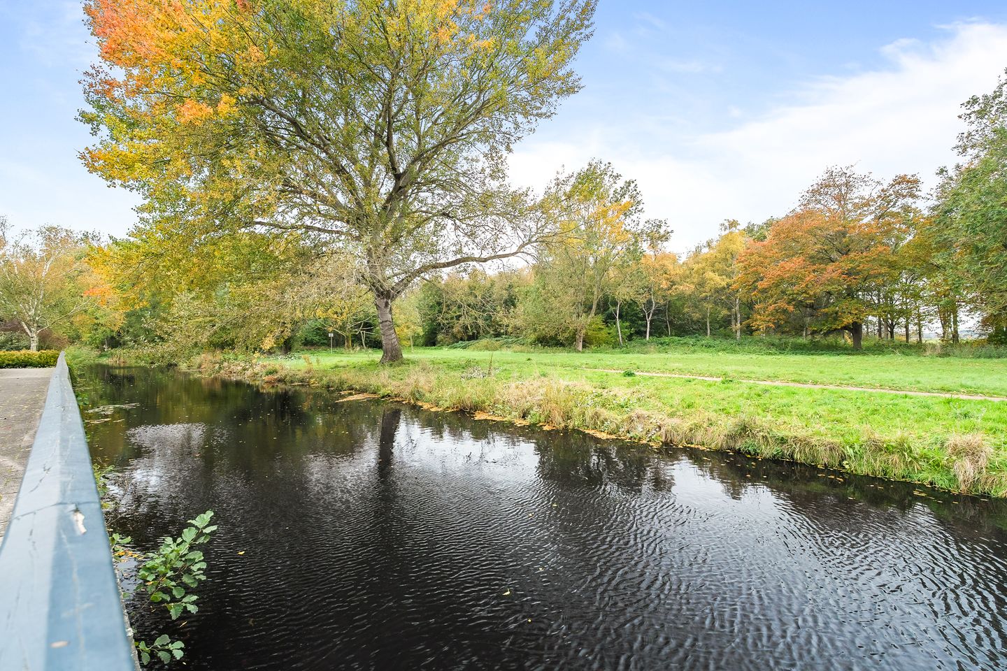 Foto 4 van Bosvaren 1