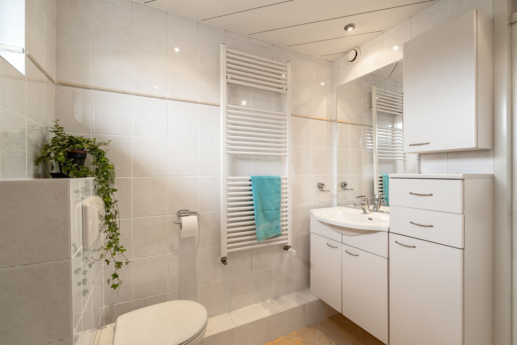 Foto 24 van Bosvaren 1