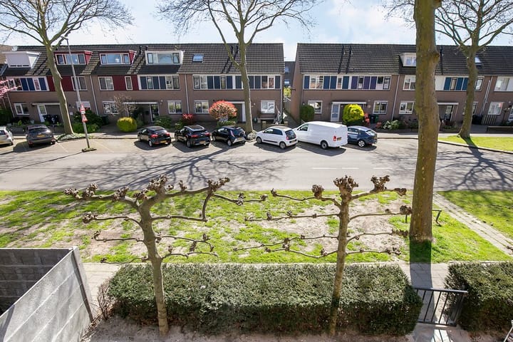 Foto 21 van Algengroen 6-B