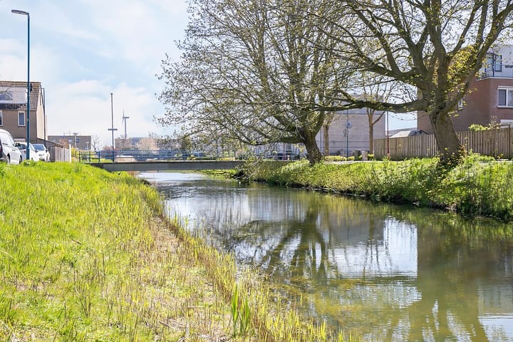 Foto 22 van Algengroen 6-B