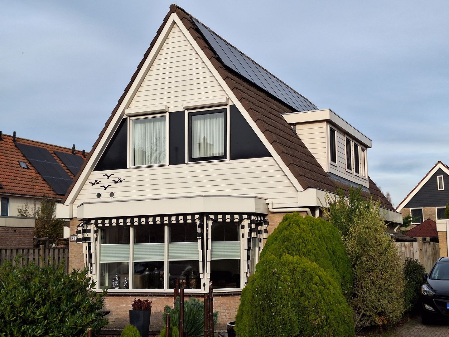 Photo 4 of Paradijsvogel 1