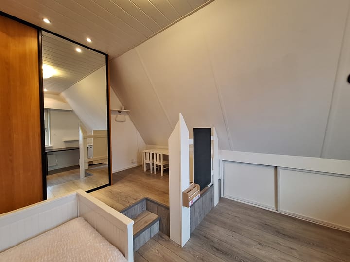 Foto 25 van Paradijsvogel 1