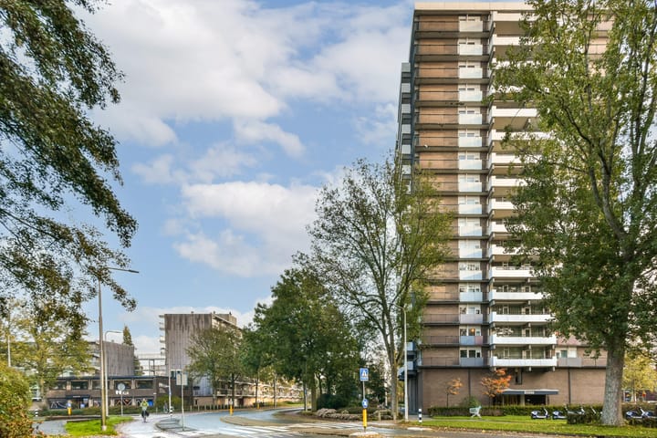 Photo 17 of Groenhof 378