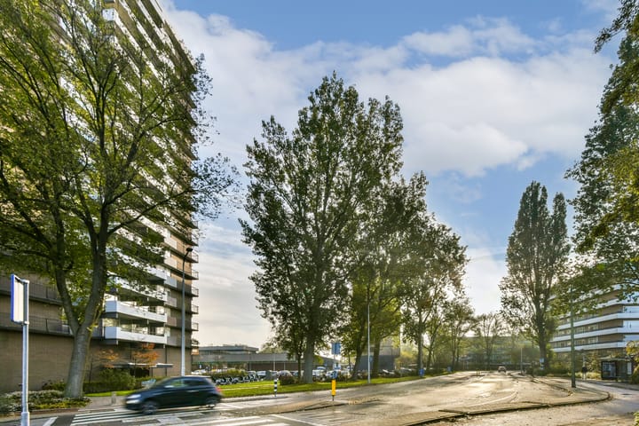 Photo 18 of Groenhof 378