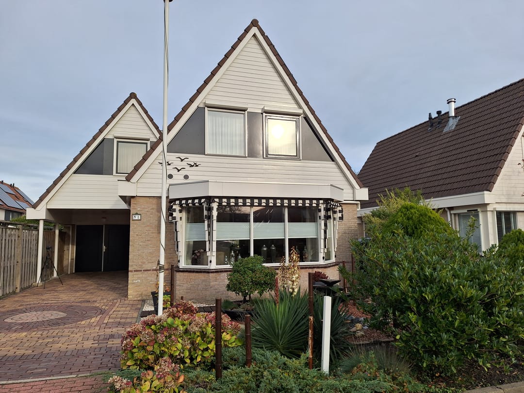 Photo 46 of Paradijsvogel 1