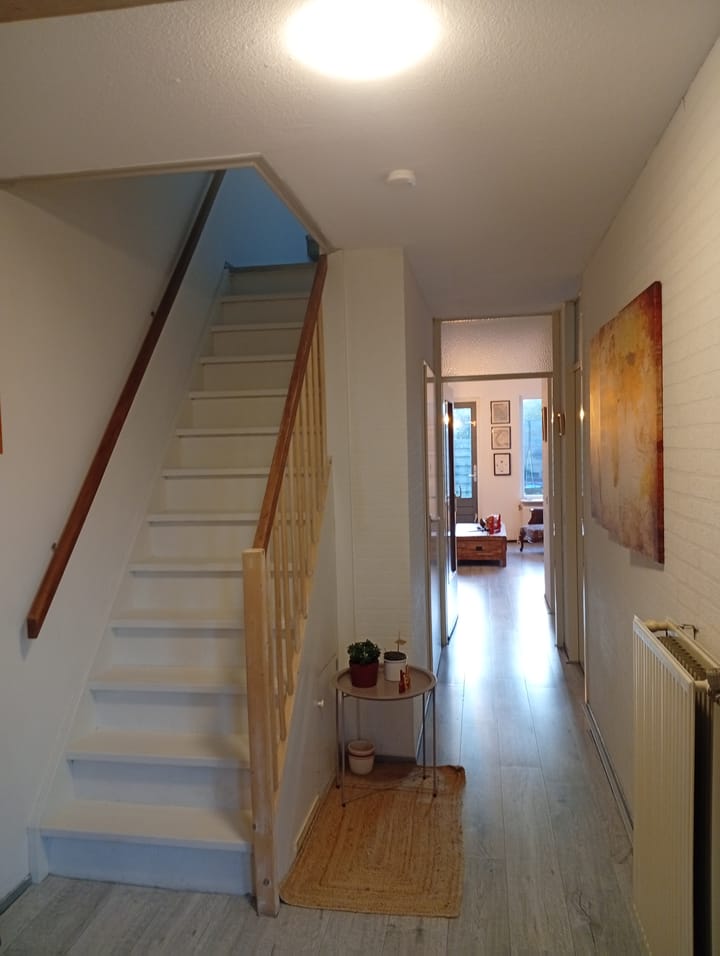 Foto 3 van Eendenkooi 2