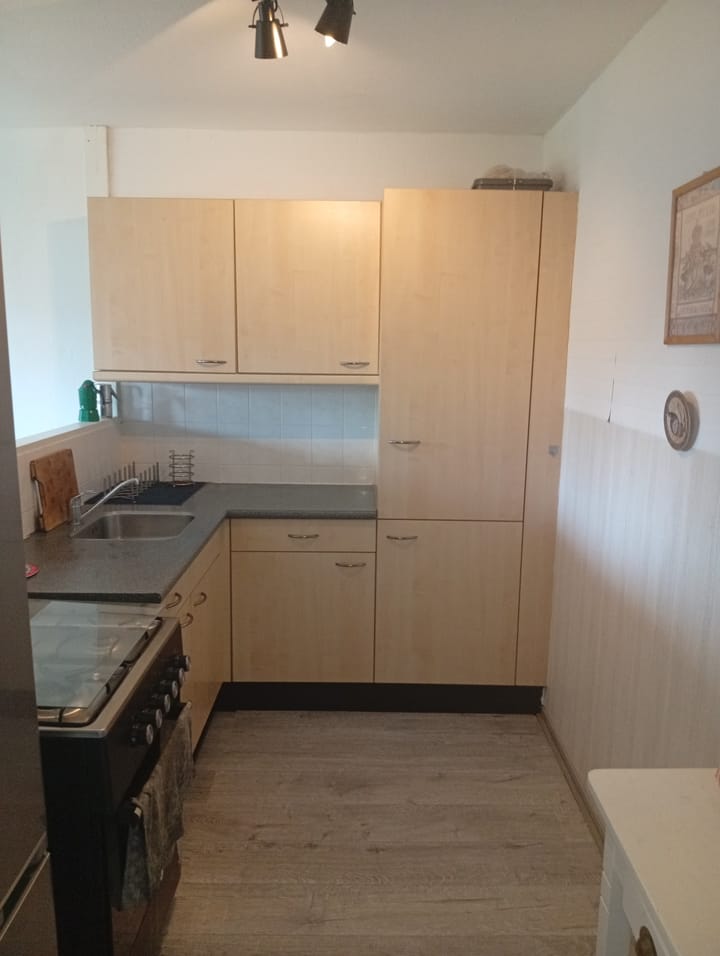 Foto 7 van Eendenkooi 2