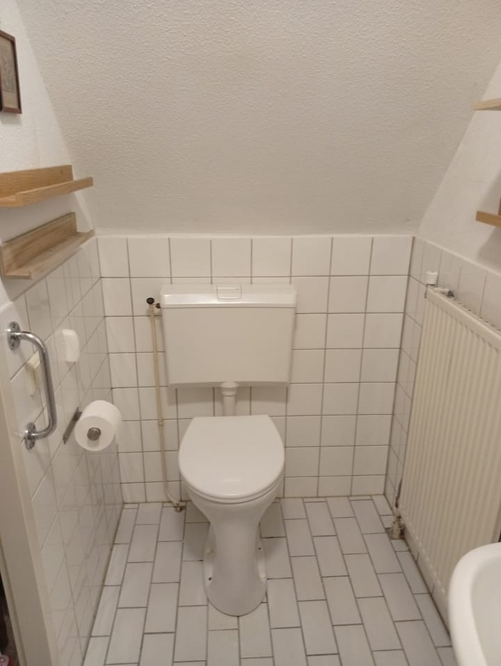 Foto 12 van Eendenkooi 2