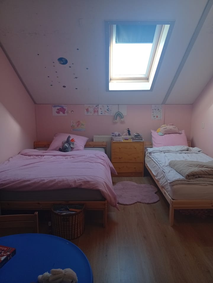 Foto 18 van Eendenkooi 2