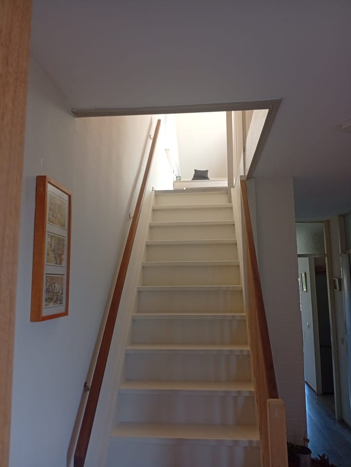 Foto 14 van Eendenkooi 2