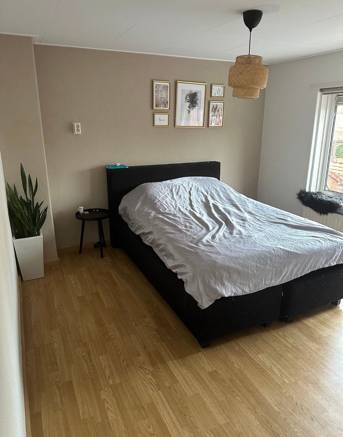 Foto 14 van Esdoornlaan 3