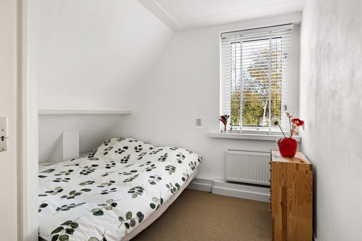 Photo 31 of Túnikkers 28