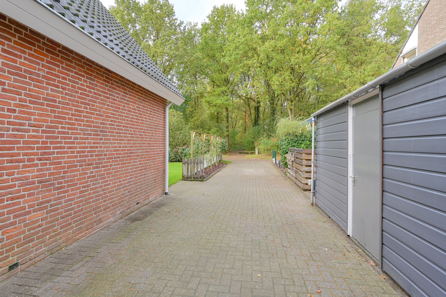 Foto 10 van Dambeern 29