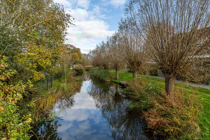 Photo 36 of Túnikkers 28