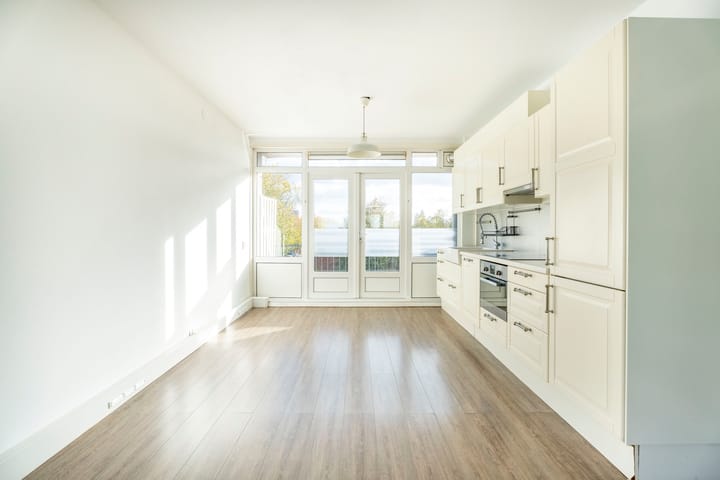 Foto 4 van Vijf Meiplein 6